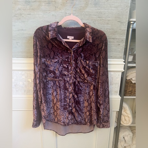 Medium Anthropologie pilcro Hadley velvet button down collar shirt pink print - Picture 3 of 14